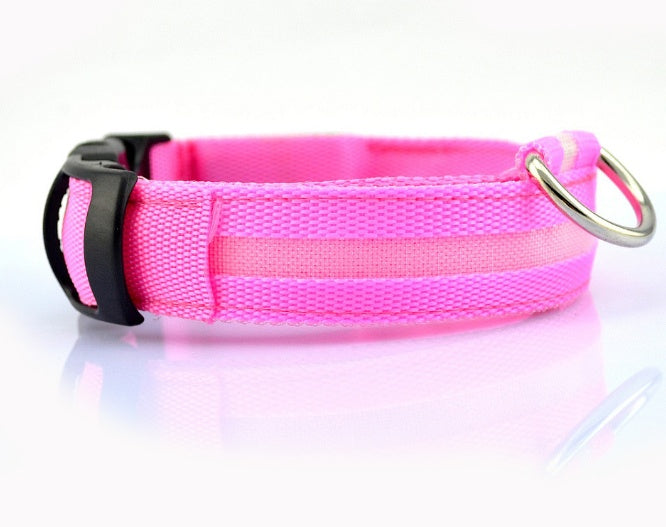 LED Light Up Dog Collar, USB Rechargeable, Multiple Colors, Safety Night Walking