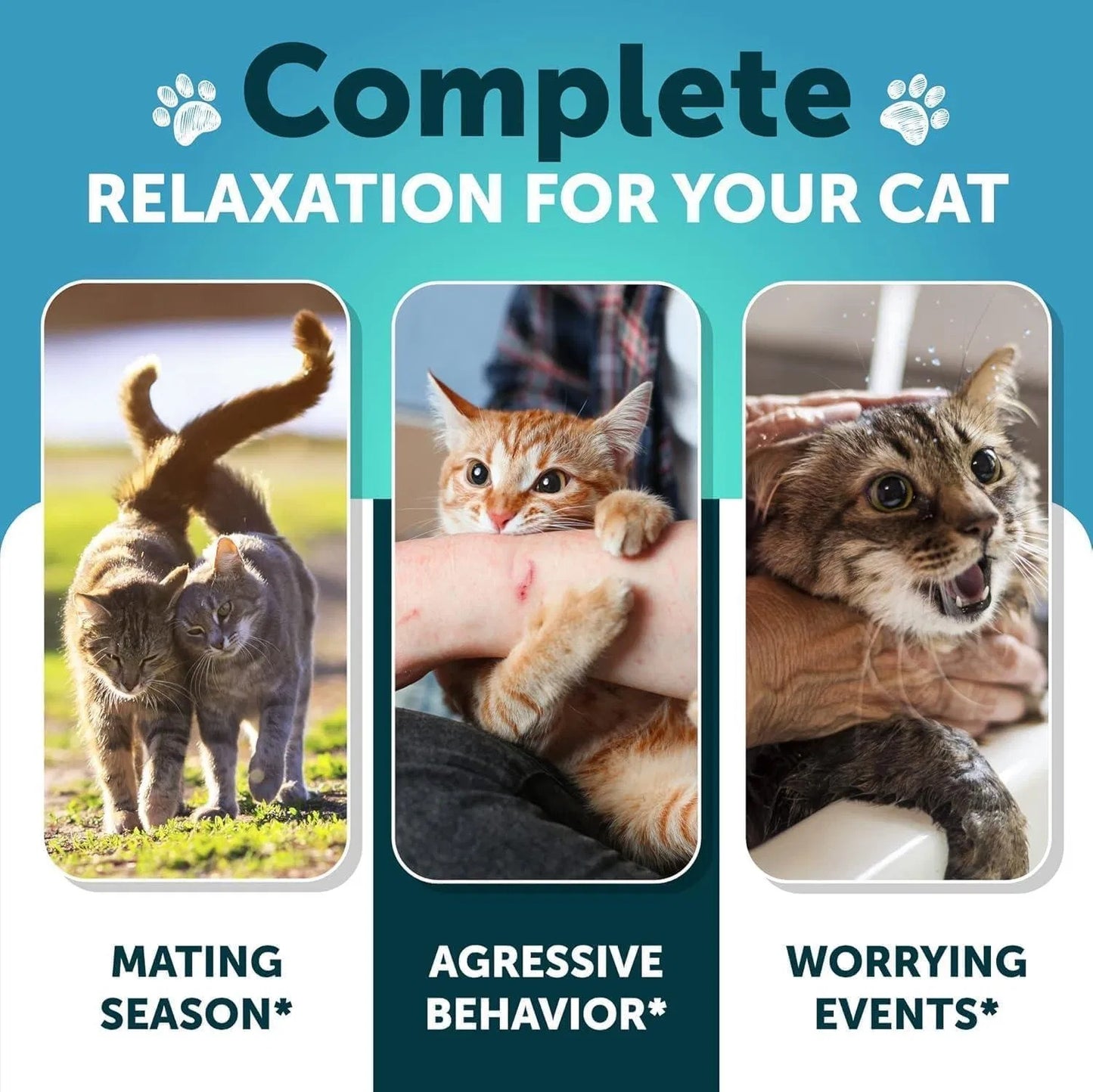 Hemp Cat Calming Treats - Stress & Anxiety Relief for Cats and Kittens with Melatonin
