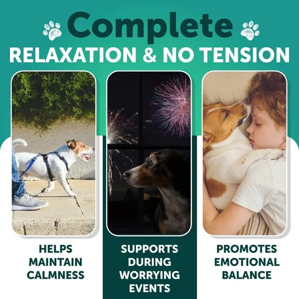 Hemp Calming Chews for Dogs - Anxiety Relief Treats with Hemp Oil, Turmeric, Valerian, and Ginger for Health & Wellness - Hip and Joint Support - 120 Treats