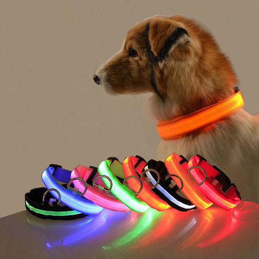 LED Light Up Dog Collar, USB Rechargeable, Multiple Colors, Safety Night Walking