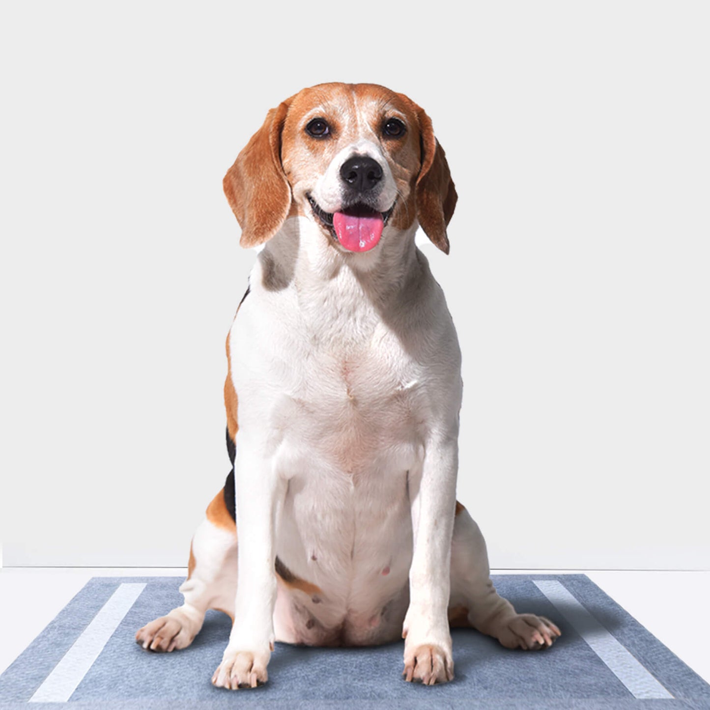 Disposable Charcoal Puppy Pads Odor Control 24x24 Inches