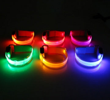 LED Light Up Dog Collar, USB Rechargeable, Multiple Colors, Safety Night Walking