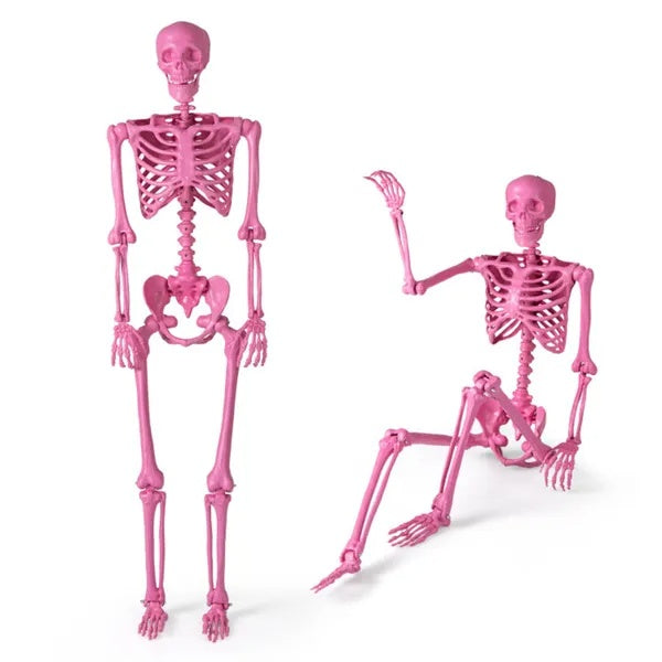 5.5ft Life-Size Pre-Lit Halloween Skeleton, White w/ Green Lights, Pink, Orange Pumpkin Head Skeleton